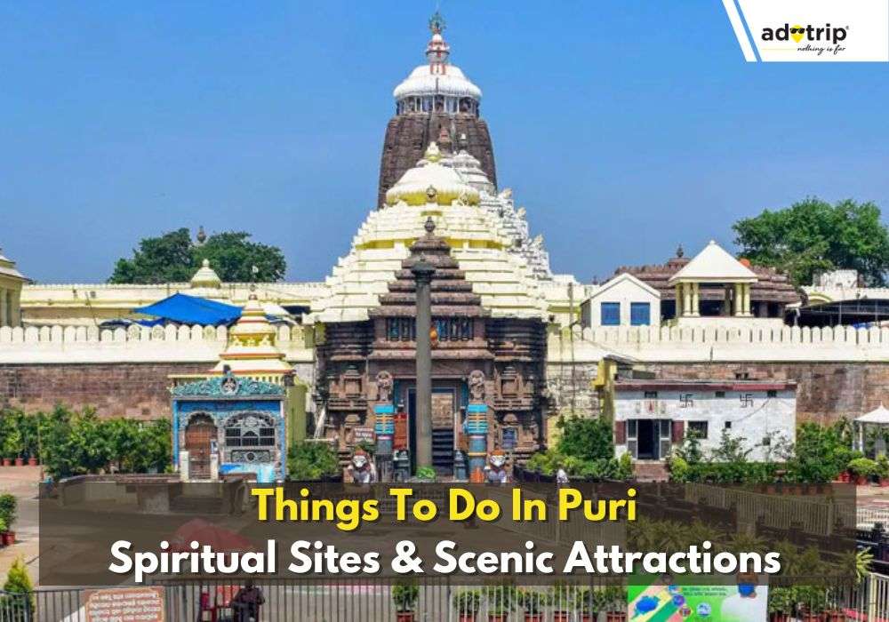 10 Best Things To Do In Puri